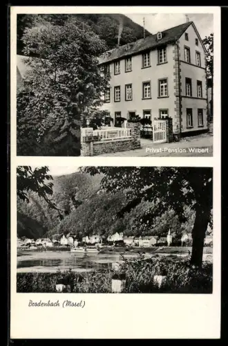 AK Brodenbach a. d. Mosel, Privat-Pension wilbert und Partie an der Mosel mit Dampfer