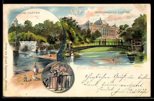 Lithographie Hamburg, Zoologischer Garten, Botanischer Garten