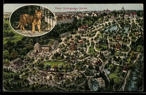 AK Basel, Zoologischer Garten, Totalansicht aus der Vogelschau, Puma