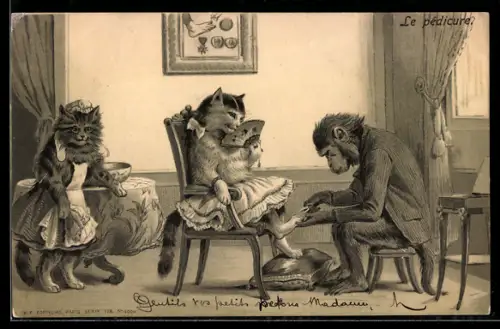 AK Pediküre für die Katz mit Affe