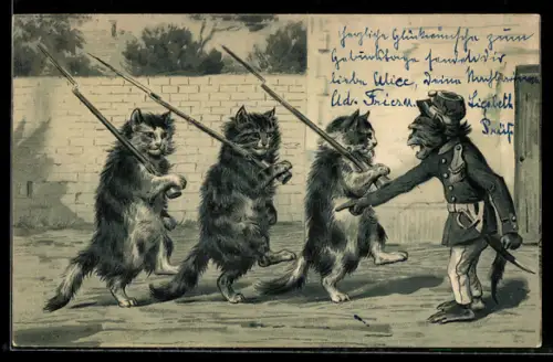 AK L`Exercice militaire, Affe in Uniform befehligt Kater mit Gewehren