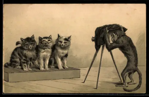 AK Affe fotografiert drei Katzen, vermenschlichte Tiere