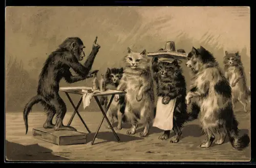 AK Affe stellt Katzen eine Wundermedizin auf dem Marktplatz vor