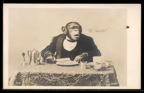 AK Elegant gekleideter Affe sitzt an einem Tisch