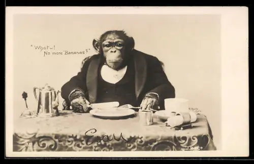 AK Elegant gekleideter Affe sitzt an einem Tisch