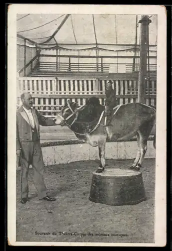 AK Théatre-Cirque des animaux exotiques