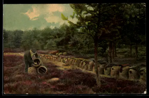 AK Stelle /Lüneburger Heide, Imker bei der Arbeit in Heideimkerei