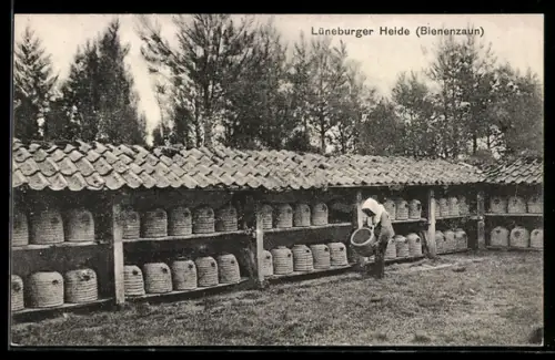 AK Lüneburger Heide, Bienenzaun mit Bienstöcken, Imkerei