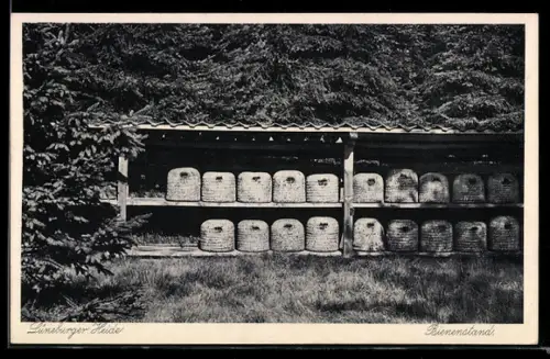 AK Lüneburger Heide, Bienenzaun mit Bienstöcken, Imkerei