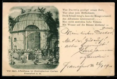 AK Frankfurt a. M., Zoologischer Garten, Vor dem Affenhaus
