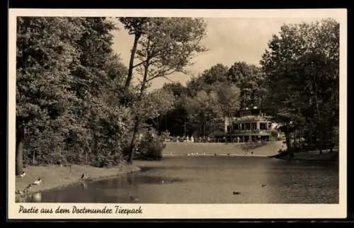 AK Dortmund, Partie am See im Tierpark