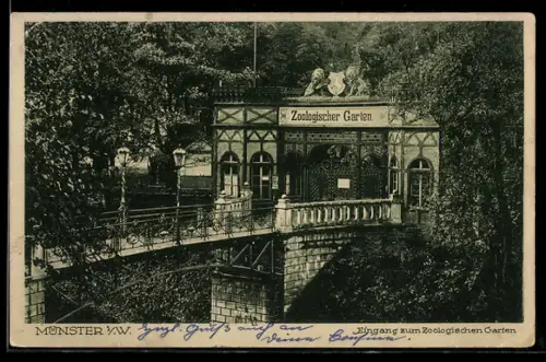 AK Münster i. W., Eingang zum Zoologischen Garten