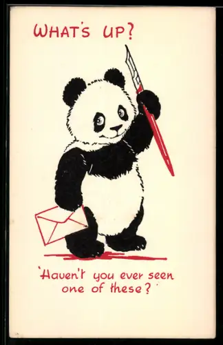 Präge-AK Panda mit Schreibfeder und Brief, Haven`t you ever seen one of these?