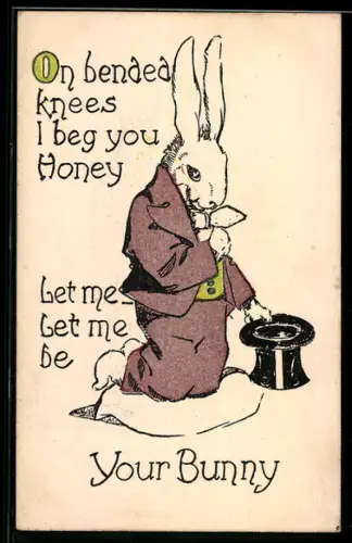AK Hase im Anzug kniet auf einem Kissen, On bended knees I beg you honey...