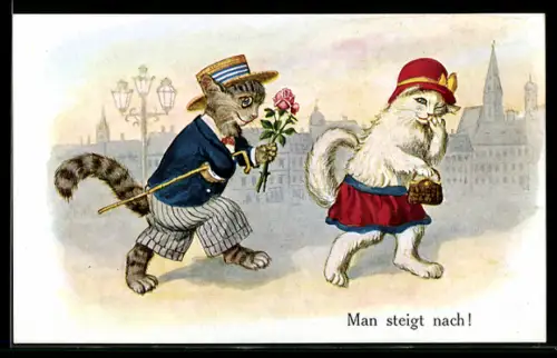 AK Katzenmann mit Rose läuft einer Katzendame hinterher