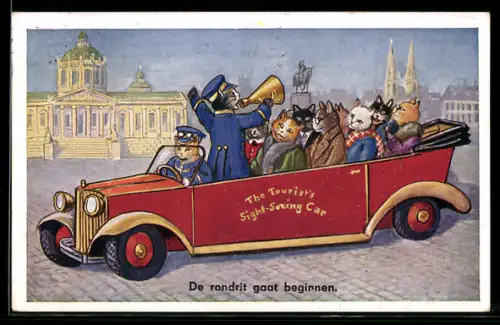 AK Katzen bei einer Stadtrundfahrt in einem Auto