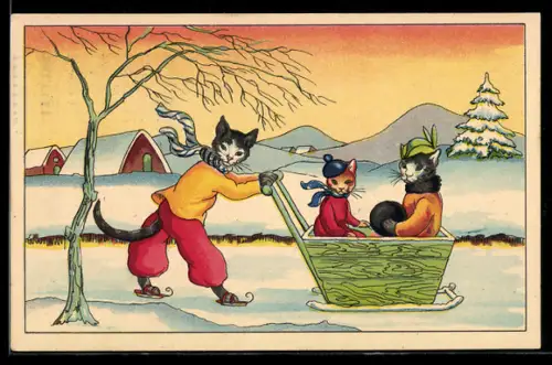 AK Katzen fahren in einem Schlitten durch den Schnee