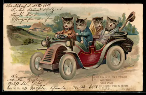 AK Katzen fahren in einem Auto durch die Landschaft