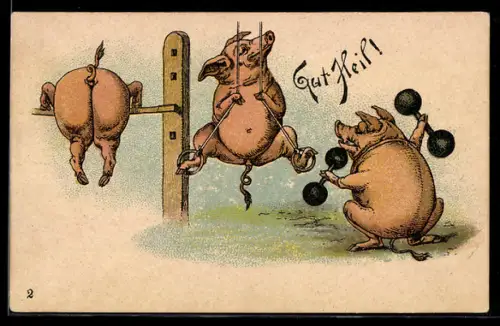 Lithographie Schweine bei Turnübungen, Gut Heil