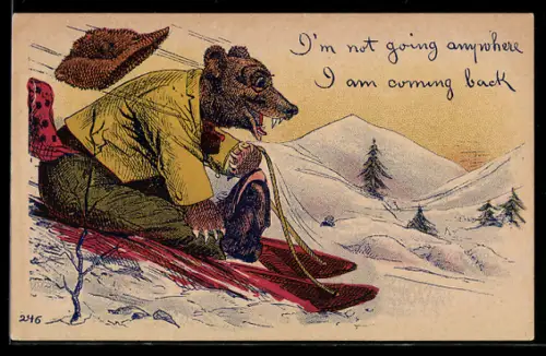 AK Bär fährt auf einem Schlitten einen verschneiten Hang hinunter