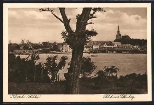 AK Kappeln /Schlei, Blick von Ellenberg mit Kirche