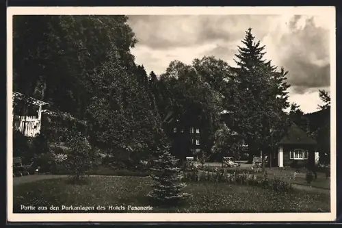AK Laasphe a. d. Lahn, Partie aus den Parkanlagen des Hotels Fasanerie