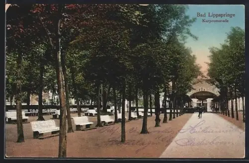 AK Bad Lippspringe, Kurpromenade
