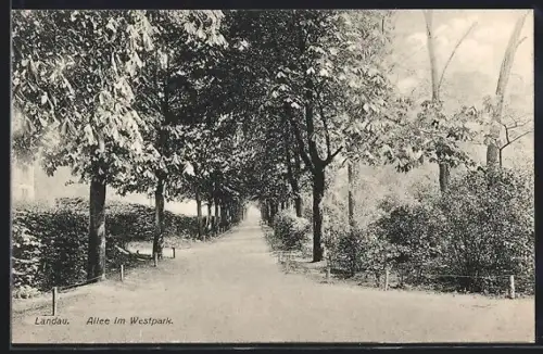 AK Landau, Allee im Westpark