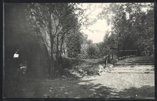 AK Landau /Pfalz, Wegpartie im Luitpoldpark