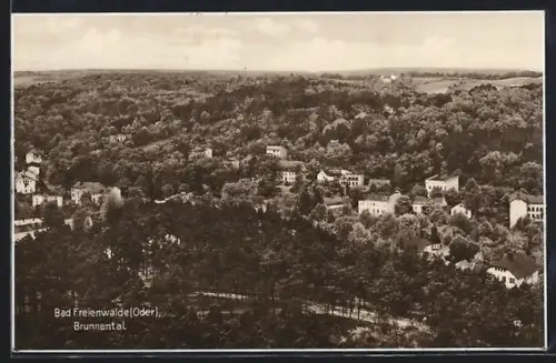 AK Bad Freienwalde /Oder, Brunnental aus der Vogelschau