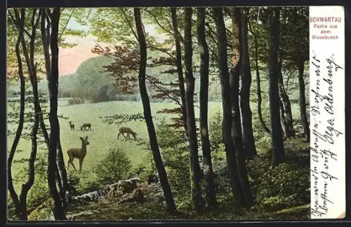 AK Schwartau, Partie aus dem Riesebusch