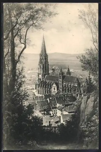 AK Freiburg i. B., Kirche vom Schlossberg aus
