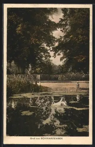 AK Schwarzenbek, Strassenpartie mit Grabmal