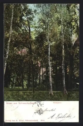 AK Schwarzenbek, Waldpartie