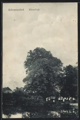 AK Schwarzenbek, Körnerlinde