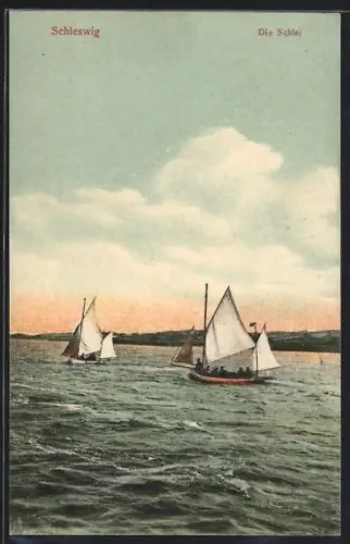 AK Schleswig, Schlei mit Segelbooten