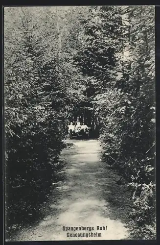 AK Schwarzenbek, Hotel Genesungsheim Spangenbergs Ruh