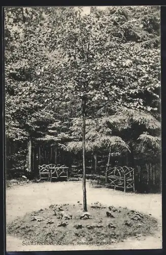 AK Schwarzenbek-Kollow, Spangenbergsruh