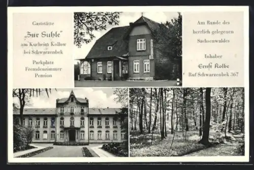 AK Kollow /Schwarzenbek, Gasthaus Zur Suhle, Kurheim, Sachsenwald, Inh. Ernst Kolbe
