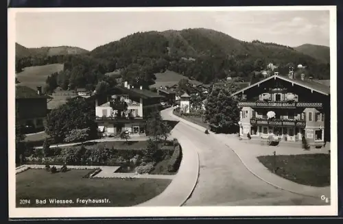 AK Bad Wiessee, Freyhausstr., Wohnhäuser, Berge