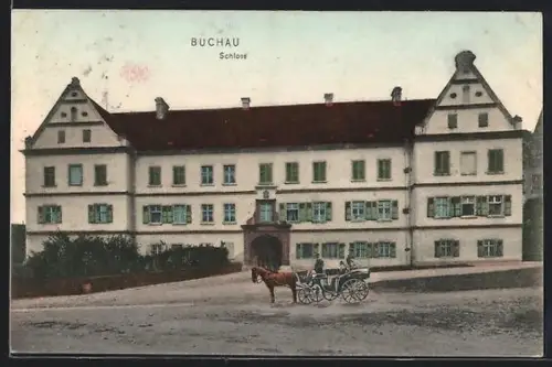 AK Buchau, Schloss, Pferdekutsche