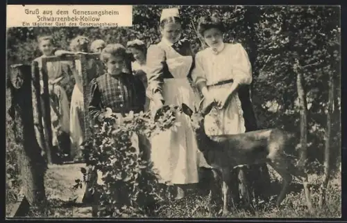 AK Schwarzenbek-Kollow, Genesungsheim, Reh als täglicher Gast des Heims