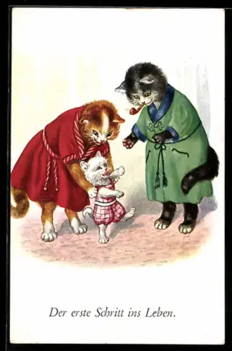 AK Der erste Schritt einer Katze, vermenschlichte Tiere