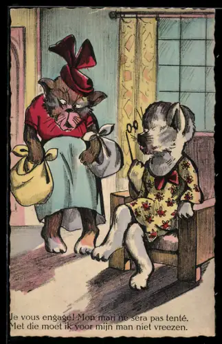 AK Zwei ältere Katzendamen in alltäglicher Kleidung im Wohnzimmer