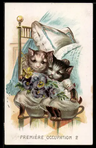 AK Zwei junge Katzen in weissen Kleidern mit einem Blumen