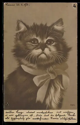 AK Stolze Katze mit einer Schleife um den Hals