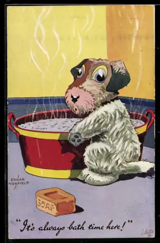 Künstler-AK sign. Edgar Norfield: Hund an der Wanne