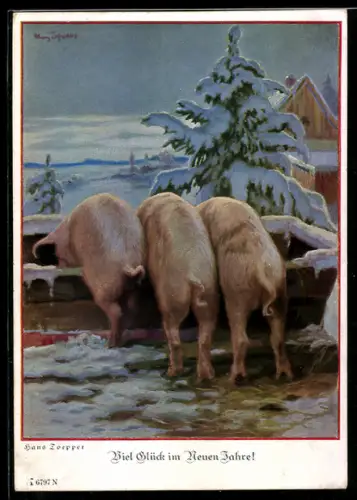 Künstler-AK sign. Hans Toepper: Schweine fressen aus einem Trog
