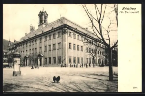 AK Heidelberg, Universität mit Vorplatz
