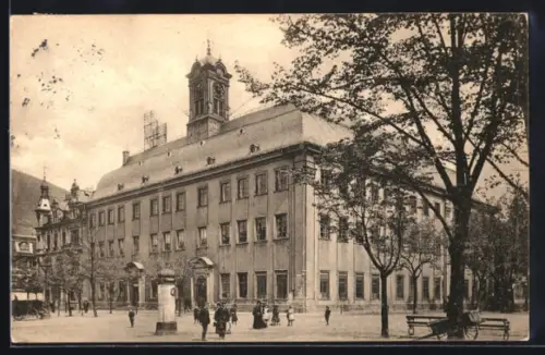 AK Heidelberg, Universität, Panorama